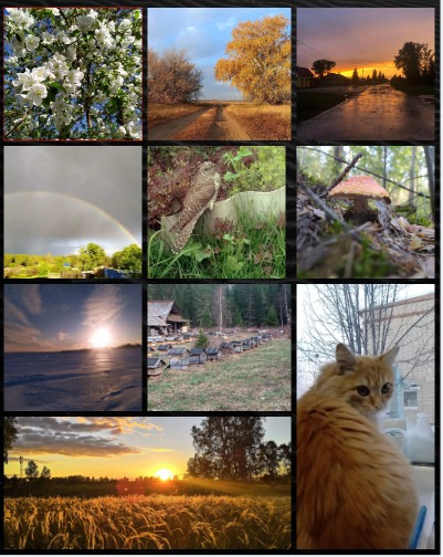 Коллаж